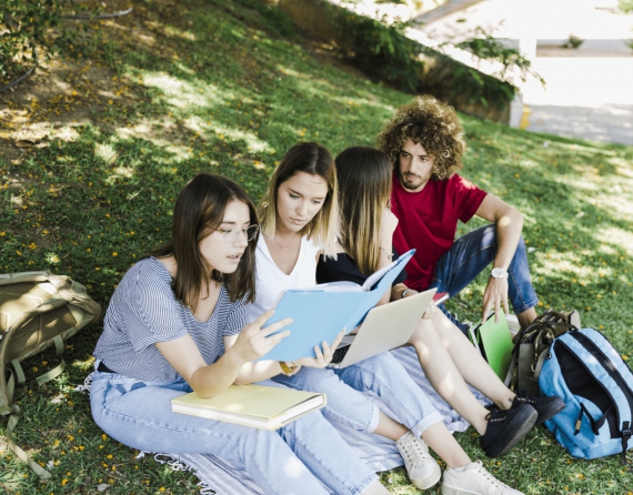 Dometics Camps
